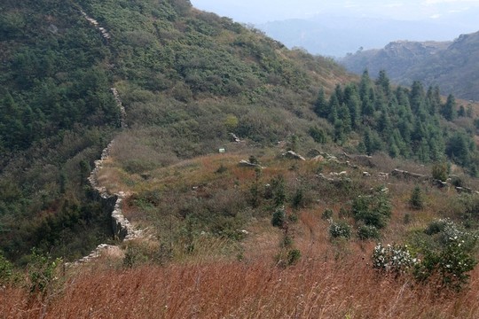 龍王尖風(fēng)景