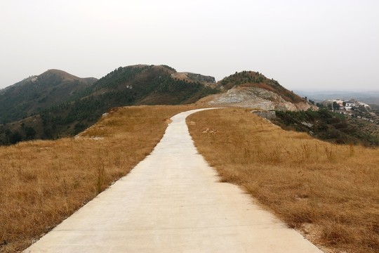 龍王尖風景