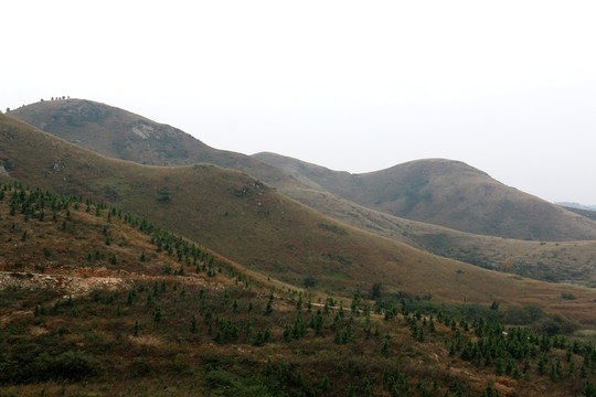龍王尖風景