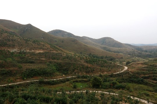 龍王尖風景