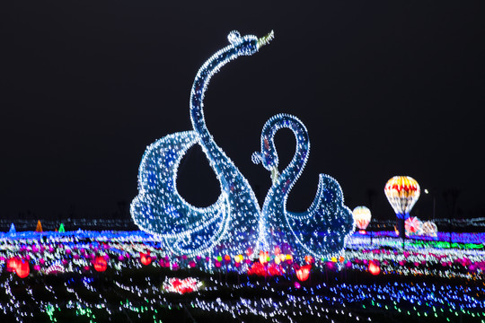 自貢花燈 天鵝1