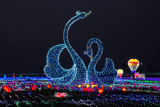 自貢花燈 天鵝2