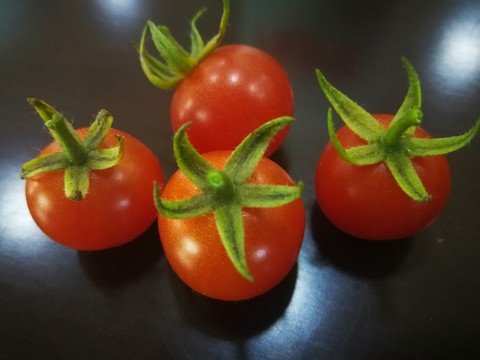 西紅柿 番茄 小西紅柿 小