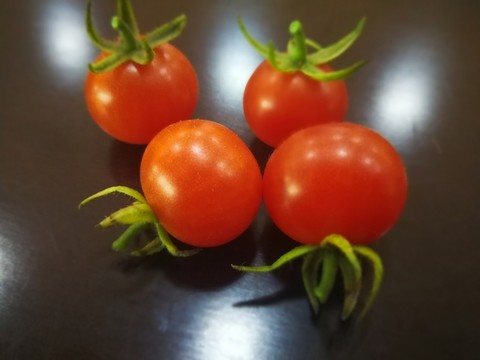 西紅柿