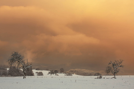 winter