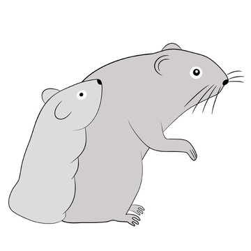 動物插圖