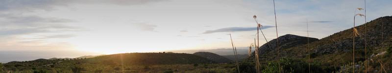 山