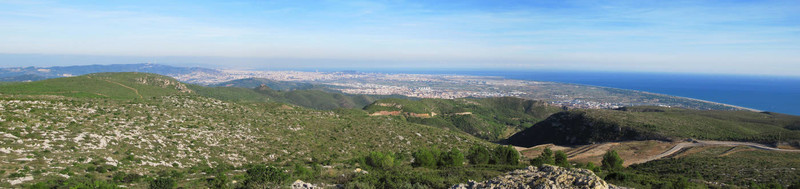山