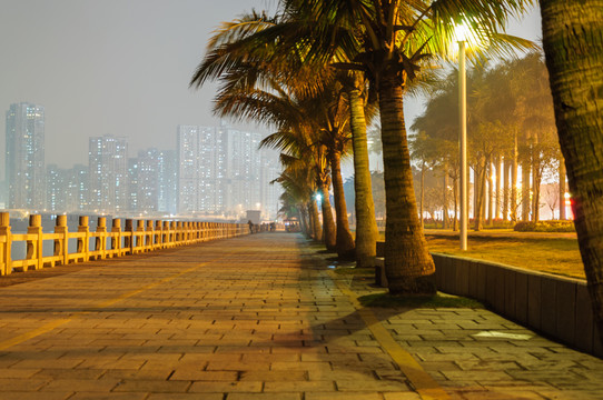 海濱情侶路夜景