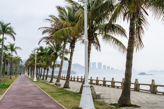 珠海海濱風景
