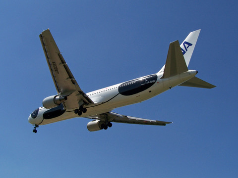 全日空 飛天熊貓 彩繪飛機