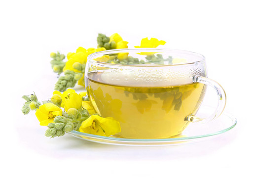 茶茶毛蕊花01毛蕊花