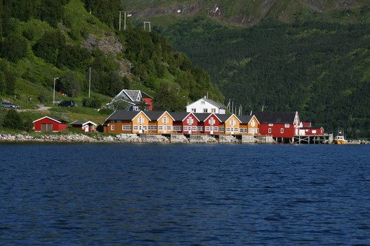 lauklines 2010