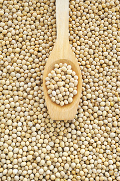 soy