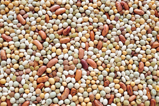 soy