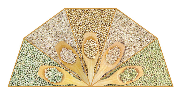 barley