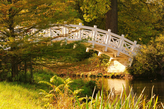 woerlitzer公園白橋-沃利茨白橋23英語(yǔ)的理由