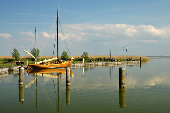 in the harbour