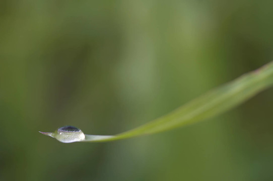 降