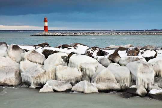 mole in winter