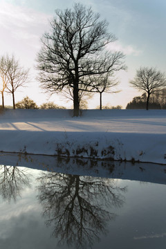 雪景