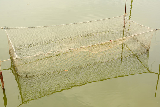 魚塘
