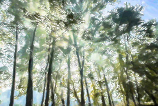 風(fēng)景畫 樹林