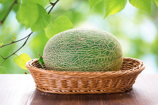 哈密瓜 新疆哈密瓜 絲路曉