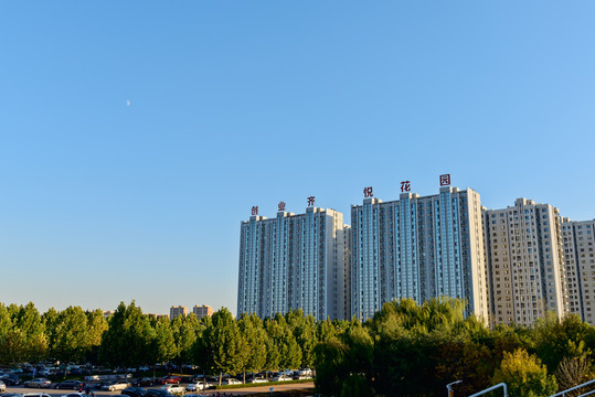 創(chuàng)業(yè)齊悅花園