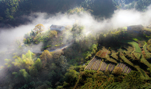 深山小景