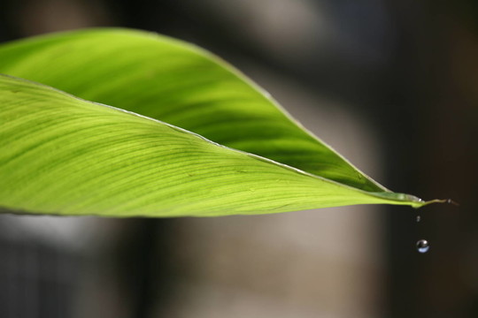 生命還在
