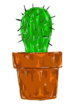 植物