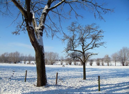 的nierderrhein