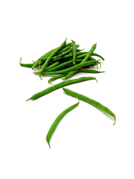 布什豆