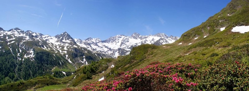 阿爾卑斯山脈