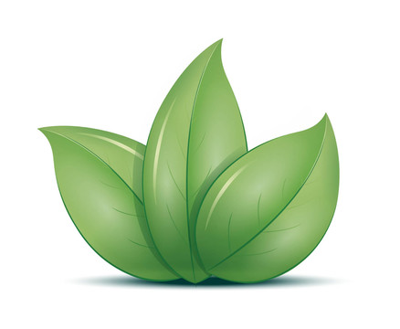 茶