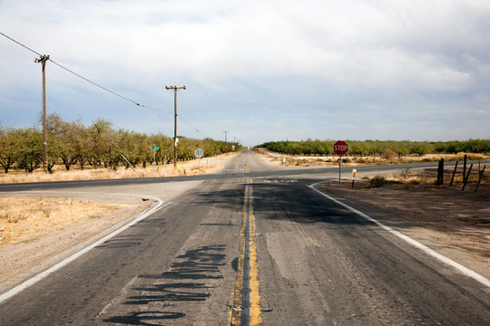 美國國家公路沿線種植