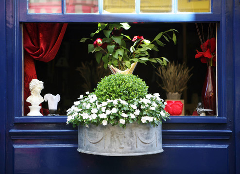 blumenfenster