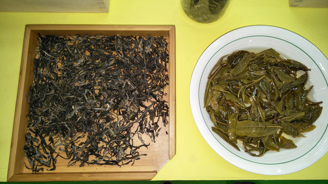 生普洱茶 高清實(shí)拍
