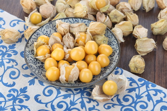 菇娘果 燈籠果