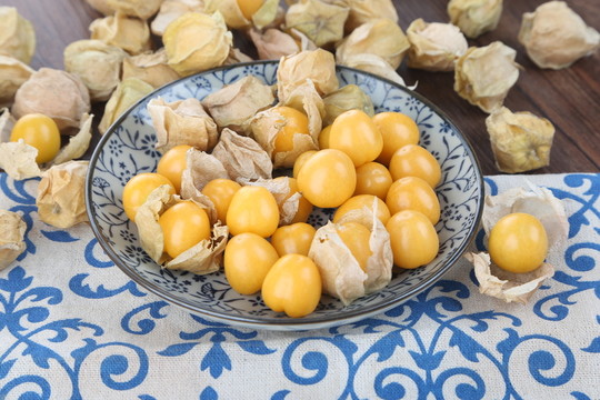 菇娘果 燈籠果