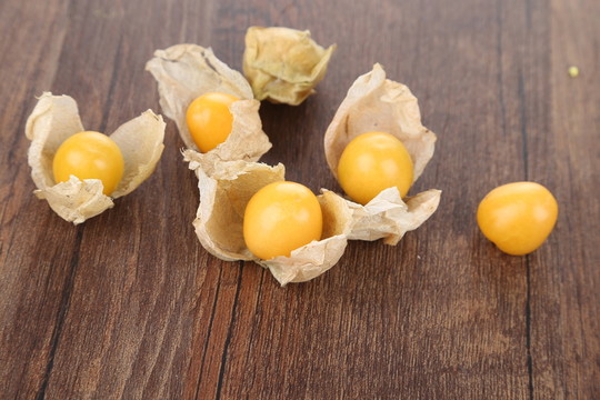 菇娘果 燈籠果