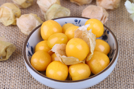 菇娘果 燈籠果