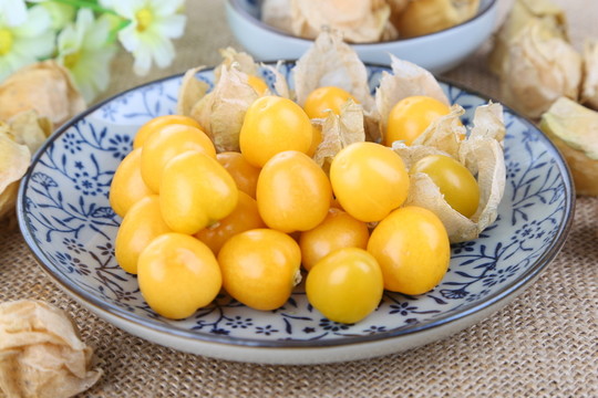 菇娘果 燈籠果