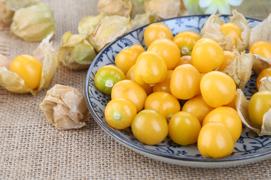 菇娘果 燈籠果