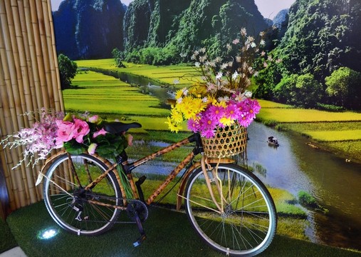 工藝自行車(chē)