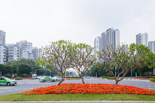 城市綠化