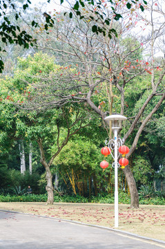 海洋公園景色