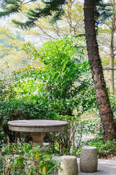 石景山公園景色