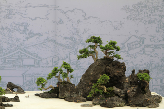 奇石盆景